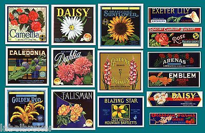 FLOWER CRATE LABELS VINTAGE DECOR 1930S 40S 50S REDLANDS COVINA LA