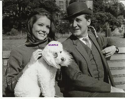 The Avengers Diana Rigg as Emma Peel Patrick Macnee as John Steed Pup