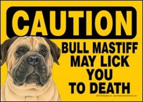 Caution Bull Mastiff May Lick You to Death 5 x 7 Sign